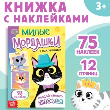 A book with stickers 