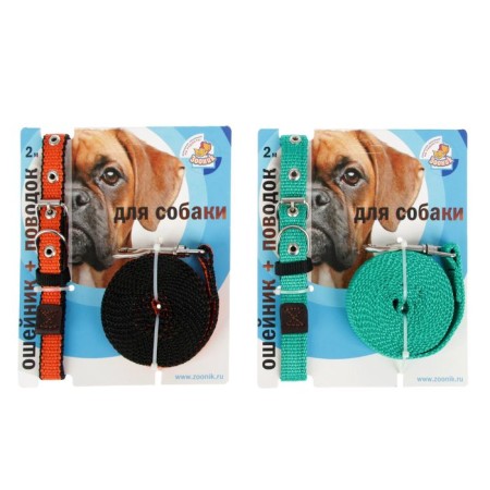 Kapon zoonik set, collar 34-46 x 2 cm and leash 2 m mix of flowers-2