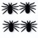Spider joke, set, black color