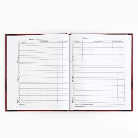 School diary 5-11 grade, in a solid cover, 48 liters. "Patriotic"-3