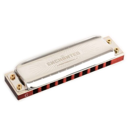 Harmonic harmonica Easttop, Pro30 A, diatonic-1