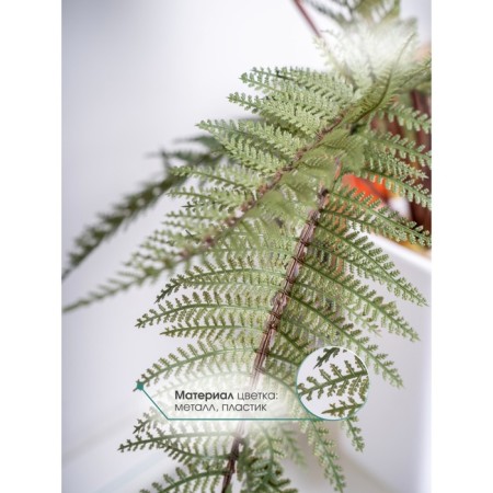 Fern in a ceramic pot, 110 × 110 × 930 mm, green / white color-3
