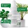 Purshat-M concentrate for ficus and palm trees, 50ml