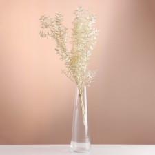 Set of dried flowers 