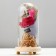 Nightlight "Rosa flask in the bouquet" LED 3AA MIX 19x9.5x9.5 cm Risalux