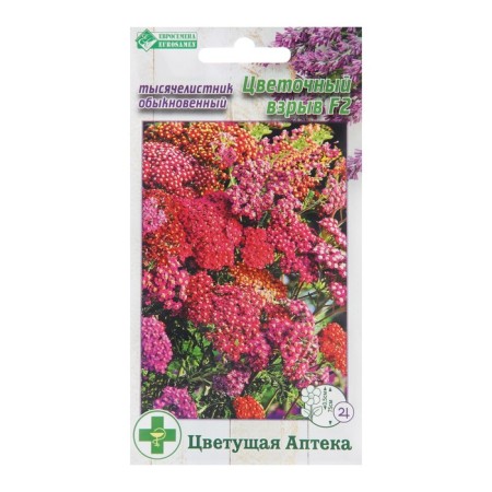Seed yarrow ordinary "Flower explosion", 7 pcs