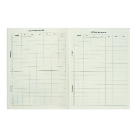 Universal diary for grade 1-11 Croco Feel Inspired, solid cover, artificial leather, foil embossing, liesse, 48 sheets-7