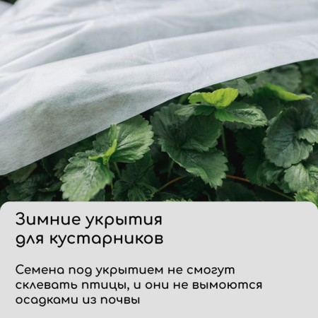 Covering material, 20 × 3.2 m, density 42 g/m², spanbond with UV stabilizer, white, Greengo, economy 30%-3