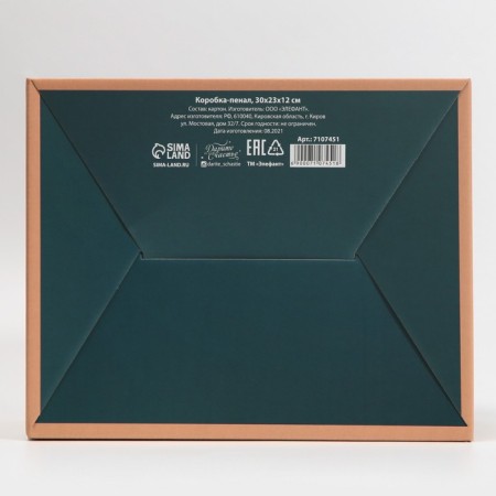 Box - Penal, Gift packaging, Present, 30 x 23 x 12 cm-5
