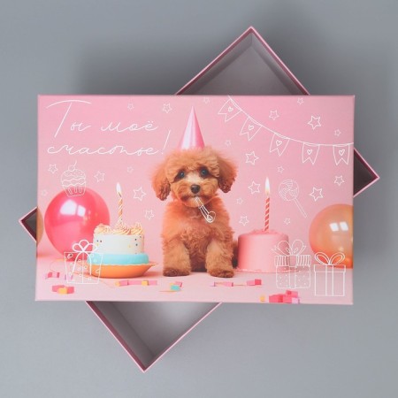 Gift rectangular box, packaging, “You are my happiness”, 26 x 17 x 10 cm-2