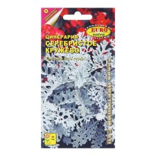 Flowers of qinneraria 