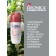 Deodorant female Deonica Lightness of powder, 50 ml