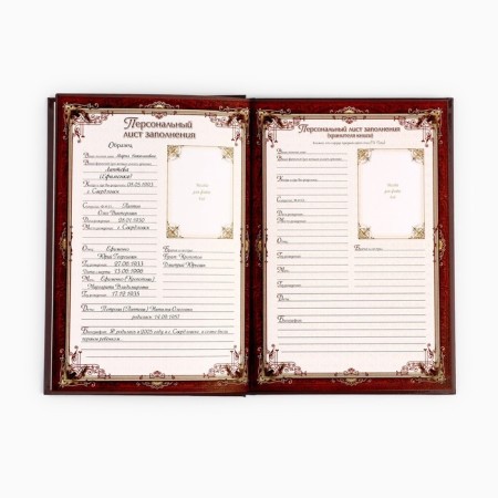The genealogy book in the box "Family Tree", 56 sheets, 20 x 26 cm-8