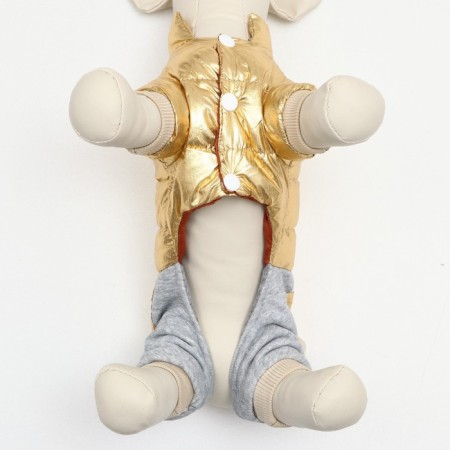 Kombinson "Cosmonaut", size 16 (DS 36 cm, og 46 cm, Osh 35 cm), golden-5