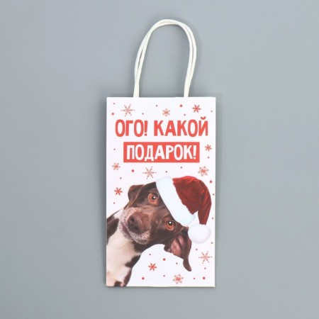 Package gift craft "Gift", 12 x 21 x 9 cm, New Year-6