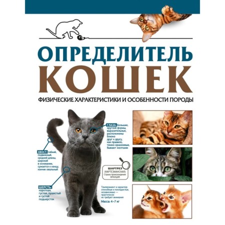 Cat determinator. Physical characteristics and features of the breed. Smirnov D.S., Spector A.A.