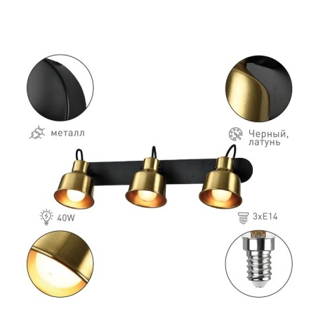 Lamp wall-flowing spot RIVOLI LENORE 7060-703 3CH14, 40W, rotary with a switch-1