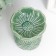 Aroma lamp ceramics "delicate flower" mix 8x8x8 cm