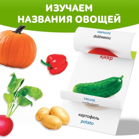 Book on the methodology of G. Doman "Vegetables", in Kazakh-2