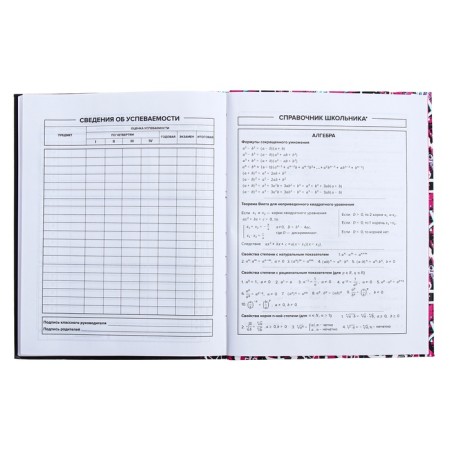 Universal Diary Grade 1-11, 48 sheets "Glamorous mouse", integral cover, glossy lamination, offset block-9
