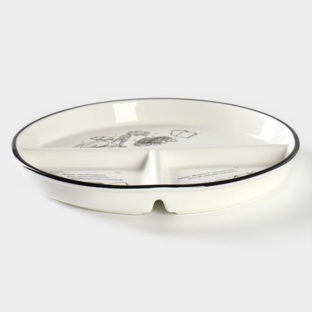 Porcelain plate for proper power supply, D = 23 cm-2