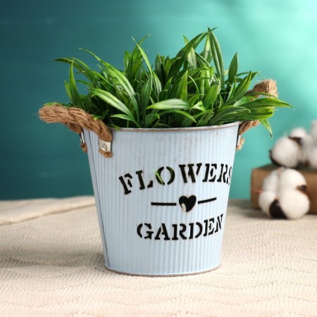 Kashpo "Bucket Flower Garden" Blue, 13x13x12cm