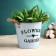 Kashpo "Bucket Flower Garden" Blue, 13x13x12cm