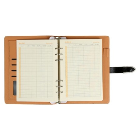 Organizer on the rings A5, 90 sheets in the ruler, with a stream, mix-13
