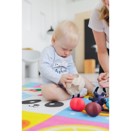 Developing tactile ball-soroter 2 in 1, with a squeak, 5 pcs, crumb I-12