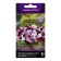 Flowers of Petunia Ampel F1 Iza Vave Jessica, 5pcs