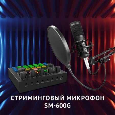 Microphone Wending call SM-600G 2.5m black-1