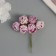 Decor for creativity "peonies" white-violet (1 set = 1 bouquet) in the bouquet 6 pcs 2.5x10.5 cm