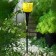 Garden lamp on the sunny battery "Yellow Tulip", 4.5 × 29 × 4.5 cm, 1 Led, glow white