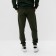 Sports male Diromm size 54, green color