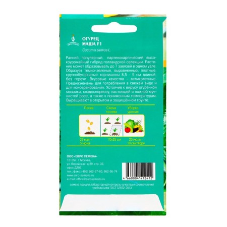 Seeds of cucumber "Masha" F1, parthenocarpic, 5 pcs.-3