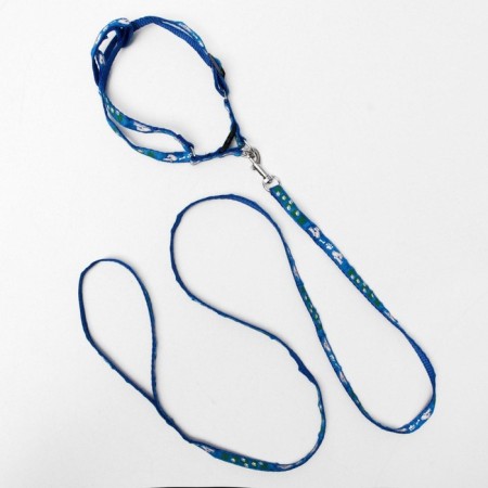 Set "Color Transes", leash 120 x 1 cm, fire 23-35 cm, blue-12