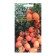 Seed Tomat "Swach Anya", 10 pcs