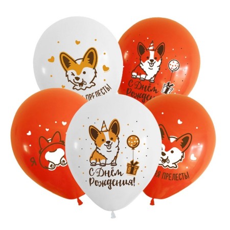 Latex ball 12 “Funny Corgi” 2 central, 2 tbsp., Stick 50 pcs.