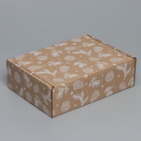 Box the team "bumps", brown, 27 x 21 x 9 cm, new year-3