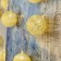 Garland “thread” 5 m with nozzles “Golden Bloods”, IP20, Transparent Thread, 20 LED, glow warm white, 220 V