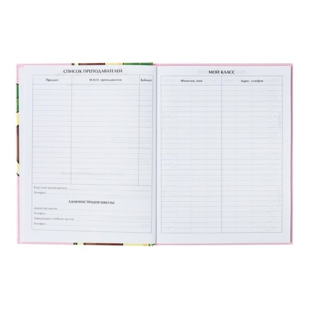 Universal diary for grades 1-11, avocato, solid cover 7BC, glossy lamination, 40 sheets-4
