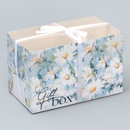 Capcake box, confectionery packaging, 2 cells "Chamomile", 16 x 8 x 10 cm