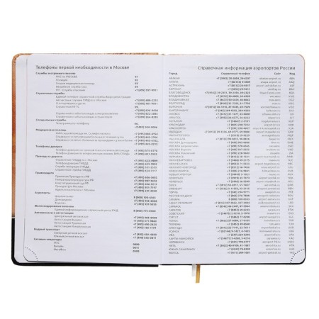 Leduced Diary A5, 160 sheets, Devente. Wild CAT, solid cover of artificial leather with foam rubber, color cut, block 70 g/m2, orange-4