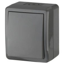 IP54, 10AX-250V, OU, Era Expert, Gray switch