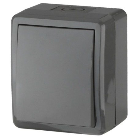 IP54, 10AX-250V, OU, Era Expert, Gray switch