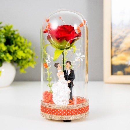 The nightlight "Bridegroom and Bride" LED from batteries LR44 8x8x19 cm Risalux