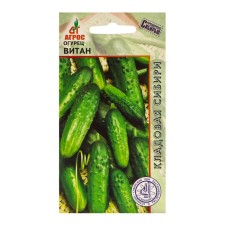 Seeds of cucumber 