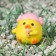 Duckling on the car panel, duck, yellow
