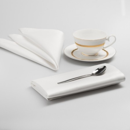 Set of napkins "Gustav", size 43 x 43 cm - 6 pcs, white color