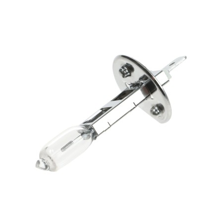 Car lamp AVS VEGAS, H1, 12 V, 55 W, blister